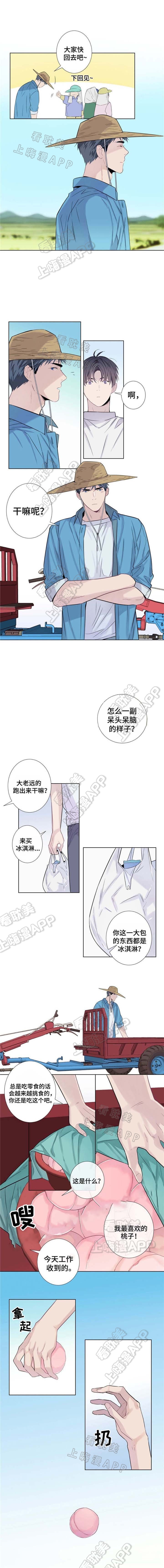 夏天的每天漫画,第15话5图