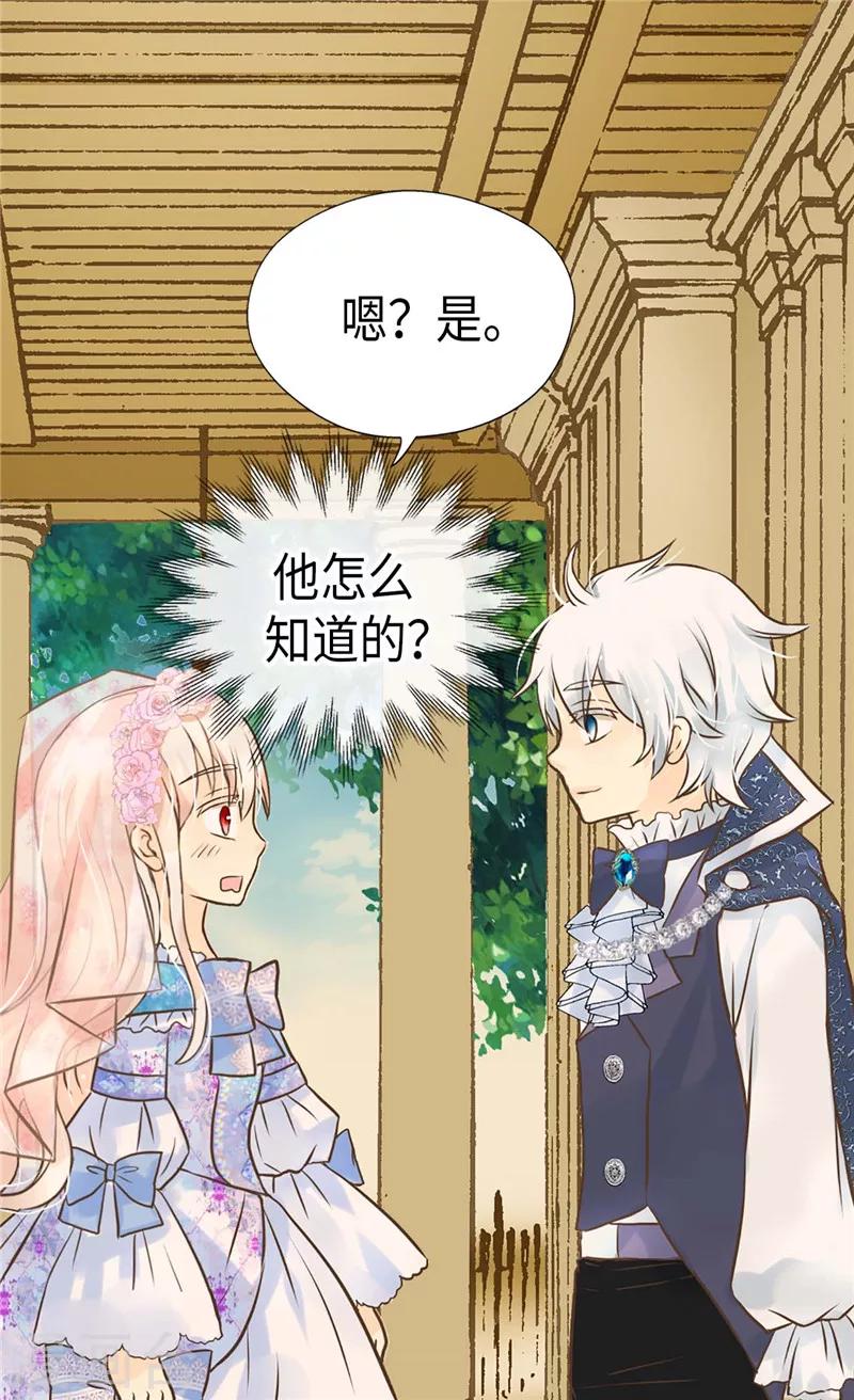 皇帝的独生女免费阅读全集下拉式百年漫画漫画,第249话 避开雷区的重要性2图