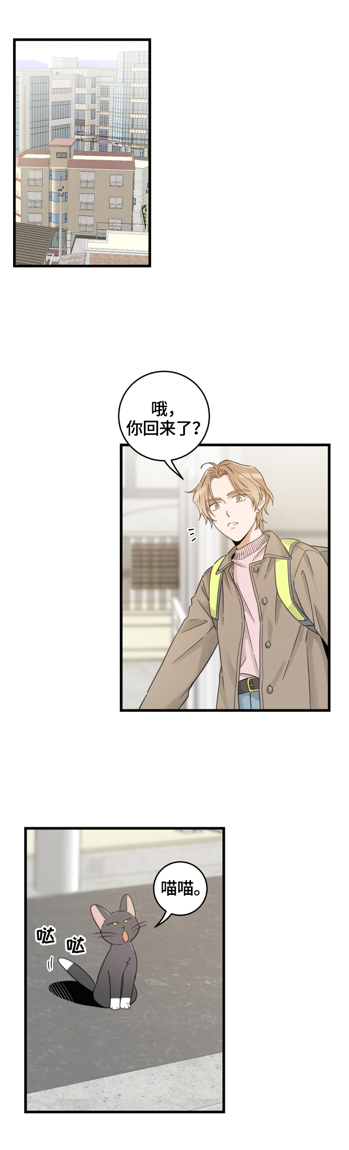 亲爱的喵君漫画免费阅读全集漫画,第70章：安慰1图