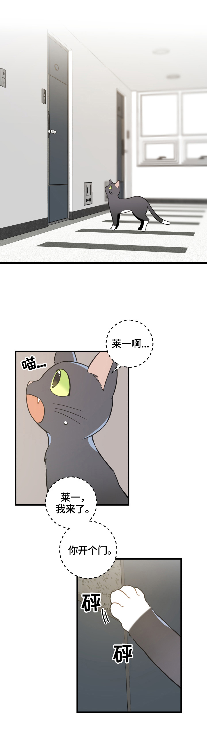 亲爱的喵君漫画免费阅读全集漫画,第70章：安慰4图