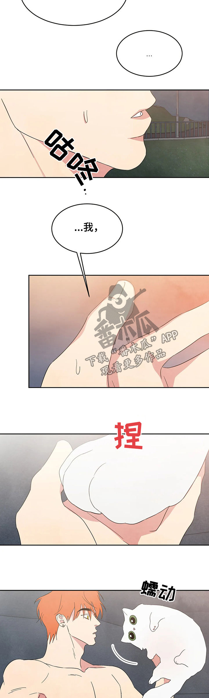 喜欢特别的他漫漫画,第22章：坦诚一点5图