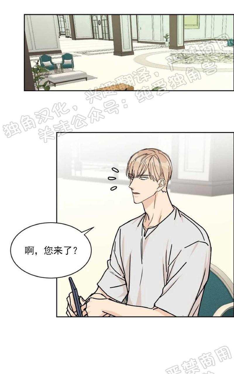 请君上船在哪看漫画,第26话1图