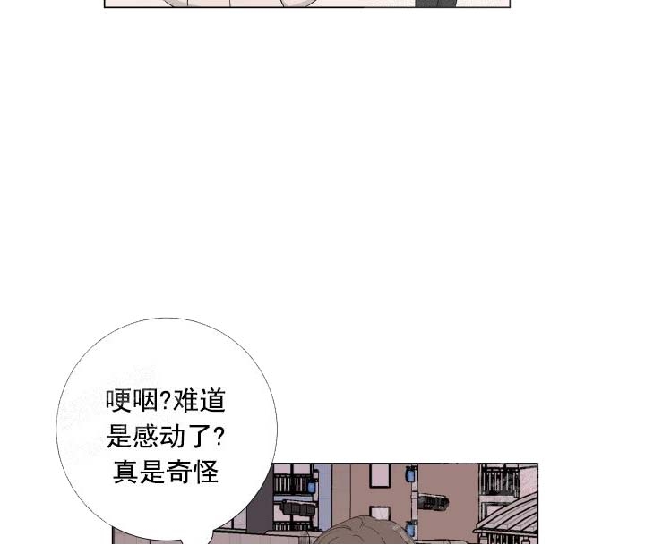 爱情与激情免费在线观看漫画,第26话4图