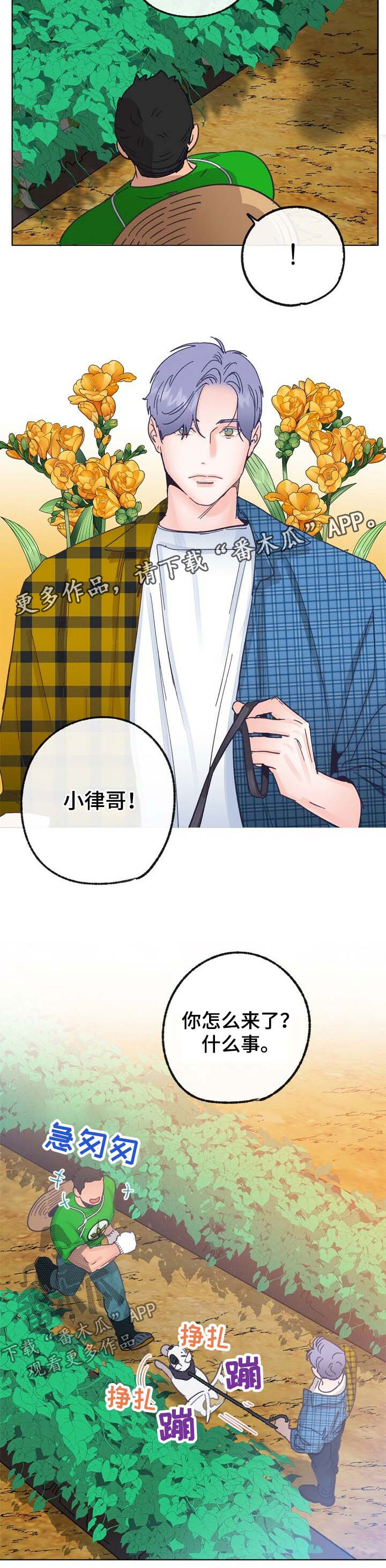 乡野吉祥漫画,第42章：来人5图