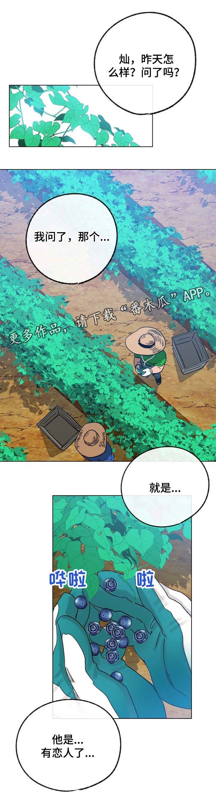 乡野吉祥漫画,第42章：来人1图