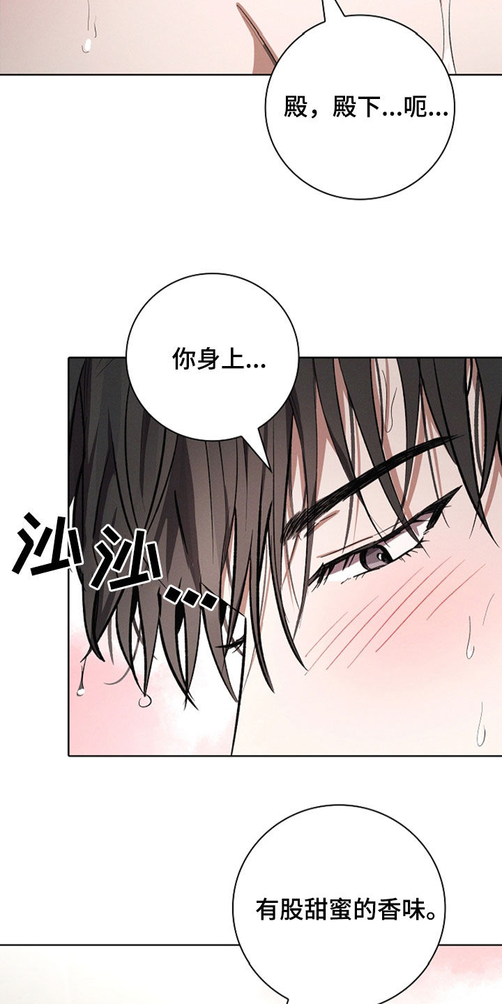 我的太子妃漫画韩漫漫画,第110话5图