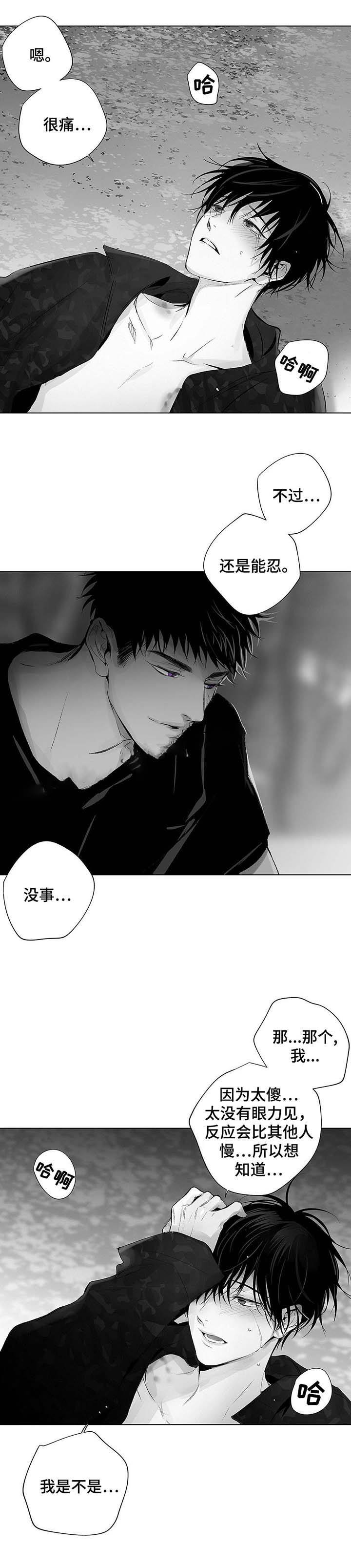 蜜月奇缘小说全文漫画,第37话2图