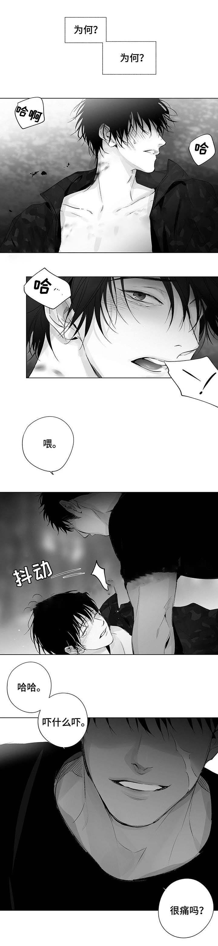 蜜月奇缘小说全文漫画,第37话1图